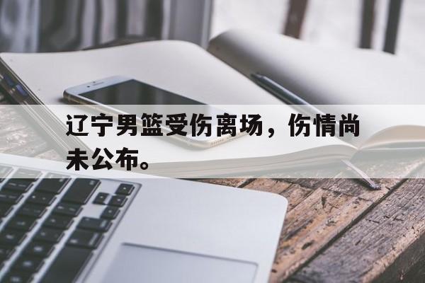 爱游戏ayx官网平台-辽宁男篮受伤离场，伤情尚未公布。