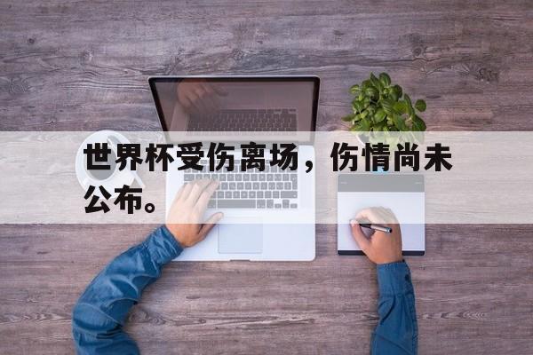 爱游戏平台首页-世界杯受伤离场，伤情尚未公布。