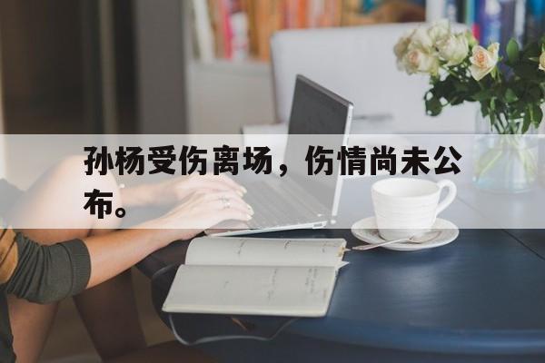爱游戏ayx官网平台-孙杨受伤离场，伤情尚未公布。