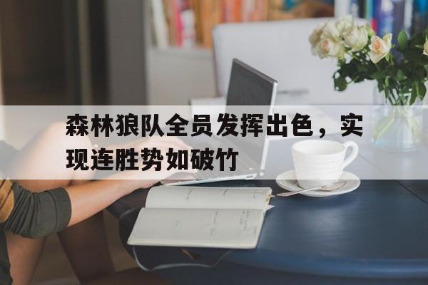 爱游戏平台首页-森林狼队全员发挥出色，实现连胜势如破竹